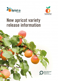 New apricot variety release information