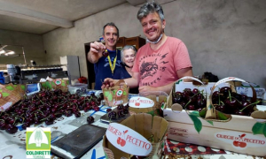 Rosso brothers with their carmen cherries