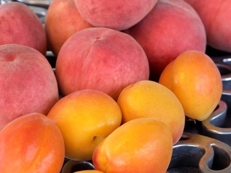 peaches apricots 98 sml