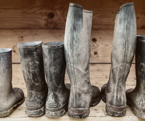 Work boots line up