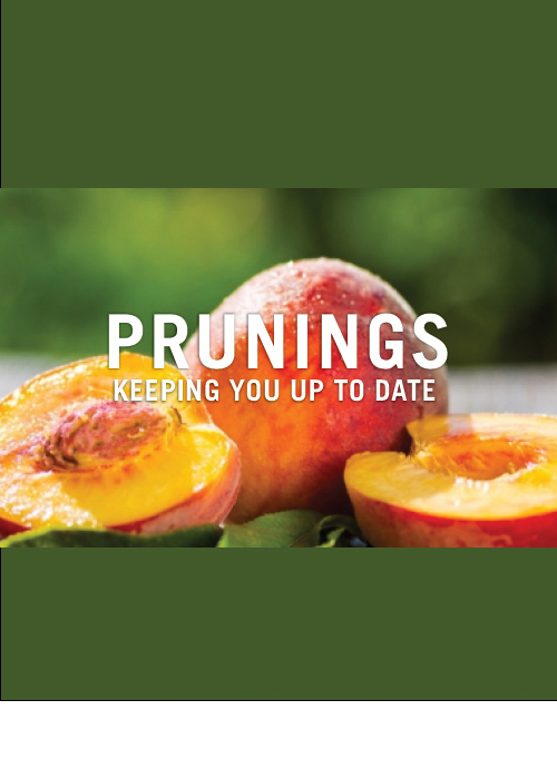 Prunings